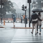 Navigating the Customer Journey: Key Steps for Experience Optimization