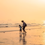 Navigating the Sales Landscape: The Impact of Relationship-Driven Strategies