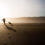 Streamline Your Operations: How the Right Software Can Boost Business Productivity