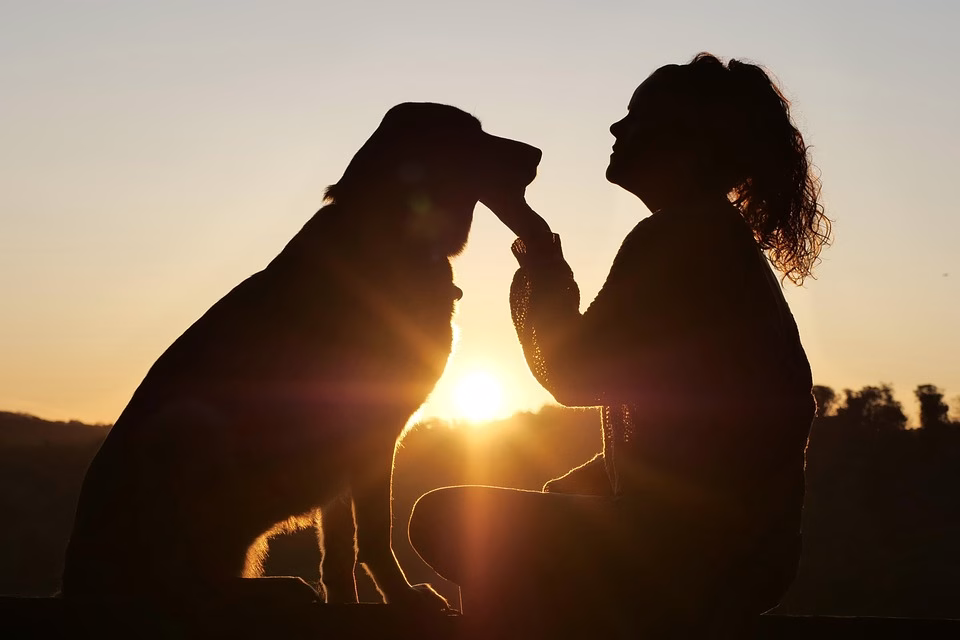 The Ultimate Guide to CRM Best Practices: Transforming Relationships into Revenue