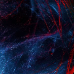 Unlocking Potential: How Digital Business Cards are Evolving in 2023