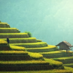 Sustainable Tech: Innovations Driving a Greener Tomorrow