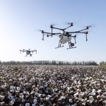 Webhooks 101: Automating Tasks for Business Efficiency