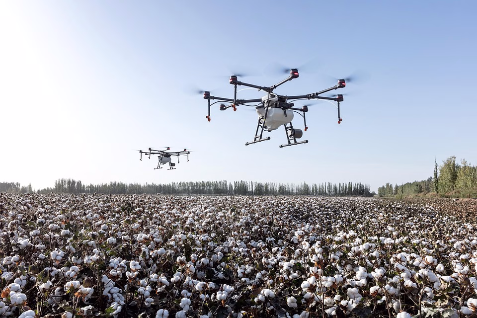 Webhooks 101: Automating Tasks for Business Efficiency