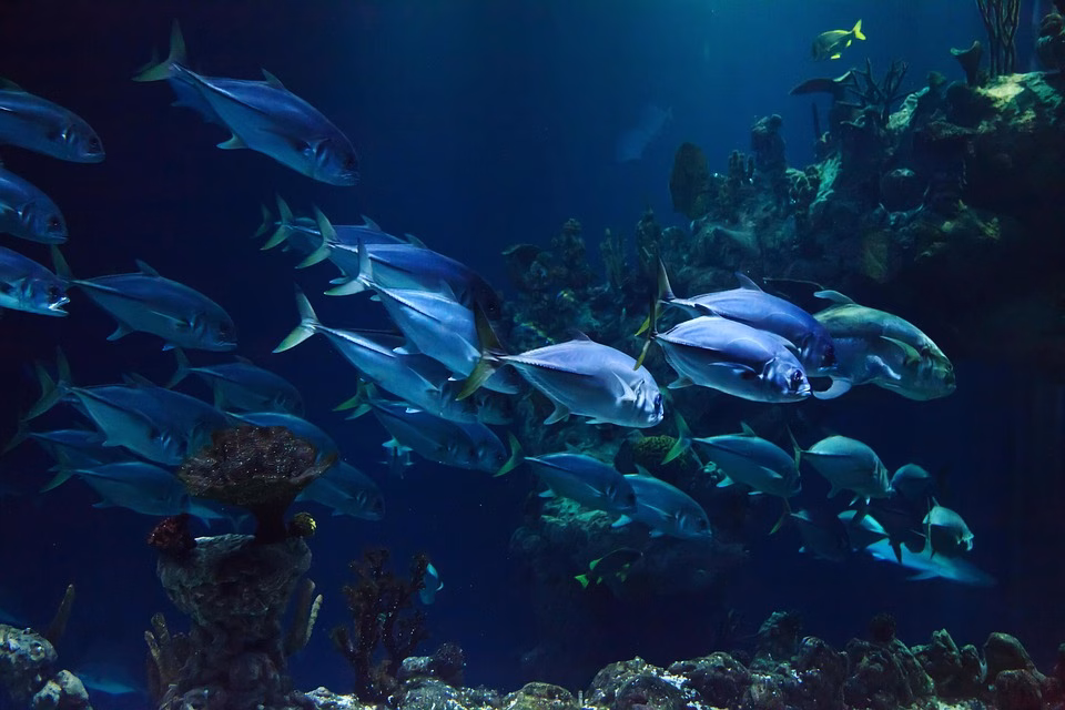 A Deep Dive into CRM Subdomain Modules: Features, Benefits, and Best Practices A Deep Dive into CRM Subdomain Modules: Features, Benefits, and Best Practices