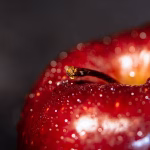 Bio Links: The Secret Weapon in Every Creator’s Arsenal