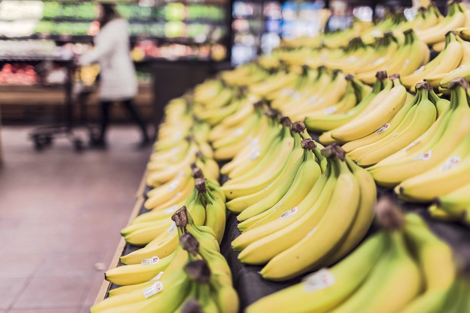 Revolutionizing Grocery Shopping: How WhatsApp Stores are Changing the Game