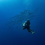 Maximize Your CRM Potential: A Deep Dive into API Access for Developers