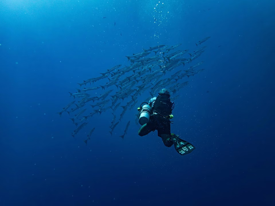 Maximize Your CRM Potential: A Deep Dive into API Access for Developers