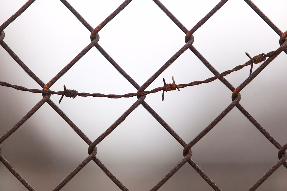 Streamline Your Links: Why an All-in-One Bio Link Solution is Essential for Creators