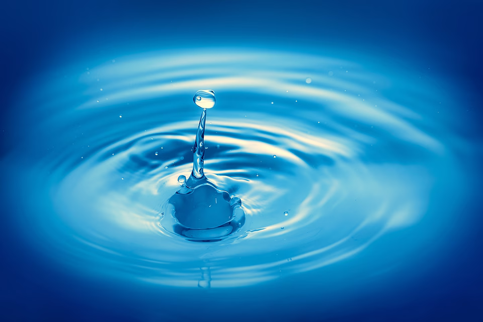 Maximize Impact: The Essential Guide to Key Results Monitoring Tools