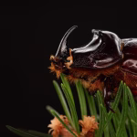 From Bugs to Brilliance: How the Latest Software Update Enhances Performance