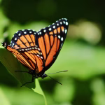 Transform Your Workflow: The Essential Guide to CRM and E-Invoicing Synergy