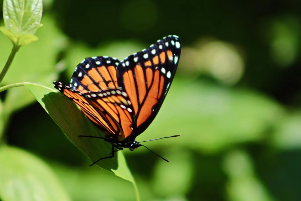 Transform Your Workflow: The Essential Guide to CRM and E-Invoicing Synergy