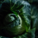 Streamlining Grocery Purchases: The Power of WhatsApp for Local Shops