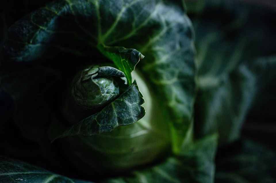 Streamlining Grocery Purchases: The Power of WhatsApp for Local Shops Streamlining Grocery Purchases: The Power of WhatsApp for Local Shops