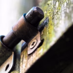“Locking Down Attendance: Strategies for Safe and Secure Tracking”