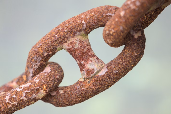 Link in Bio: Why Every Influencer Needs a SaaS Solution