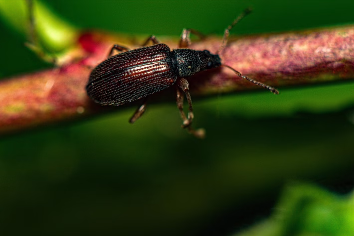 Maximize Your Clicks: The Ultimate Guide to Creating Custom Bio Links