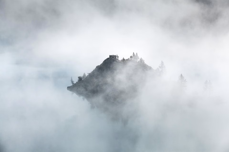 Elevate Your Networking Game: The Essential vCard Solutions for Creative Minds