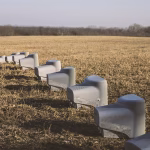 Beyond the Hashtag: Crafting Authentic Connections with Your Audience