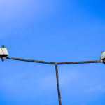 Choosing Wisely: Evaluating the Best Purchase Modules for Your CRM Needs