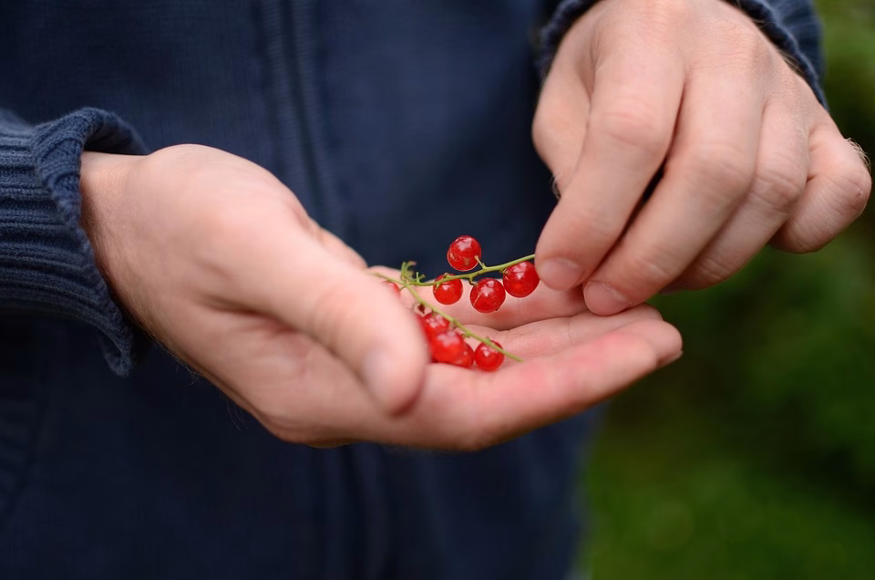 Juggling Responsibilities: Effective Techniques for Work-Life Integration Juggling Responsibilities: Effective Techniques for Work-Life Integration