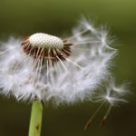 From Ordinary to Extraordinary: Transform Your vCard Profile Today