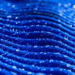 Beyond the Surface: Unpacking Privacy Concerns with Digital Business Cards