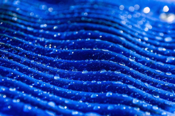Beyond the Surface: Unpacking Privacy Concerns with Digital Business Cards