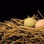 Cutting Costs and Boosting Quality: The Benefits of Process Optimization