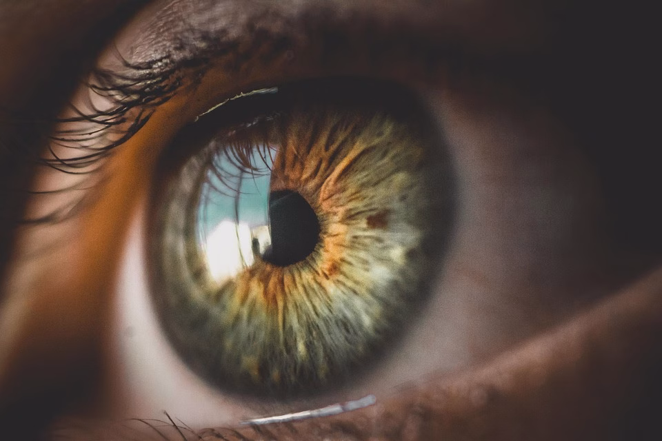 Biometric Time Tracking: Ensuring Accurate Analytics for Your CRM Biometric Time Tracking: Ensuring Accurate Analytics for Your CRM