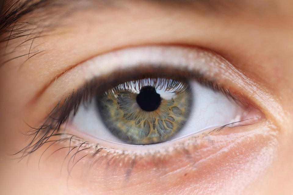 From Vision to Action: The Power of OKR Tools for Emerging Businesses