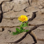 From Risk to Resilience: Leveraging CRM Tools for Security Compliance
