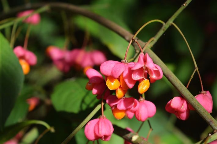 Your CRM’s Secret Weapon: Exploring the Benefits of Bio Link Modules
