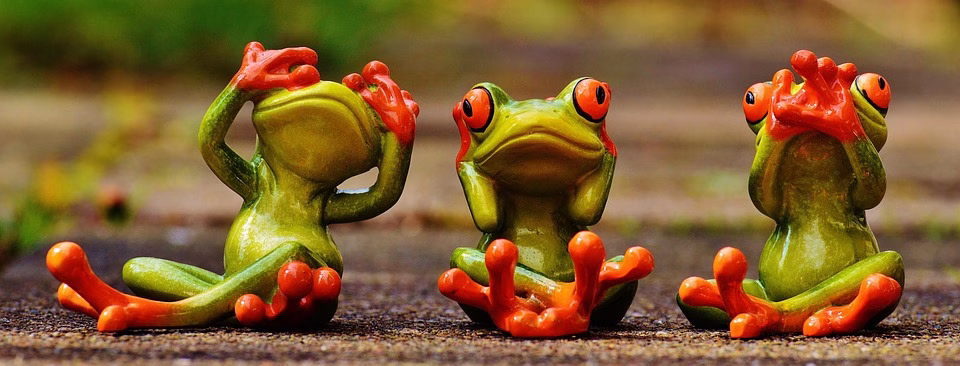 Speak Their Language: The Impact of a Multi-Language CRM on Global Business