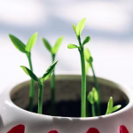 The Future of Customer Communication: Integrating SMS with Your CRM