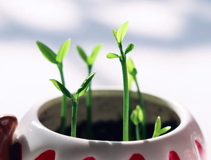 The Future of Customer Communication: Integrating SMS with Your CRM