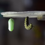 Transform Your Approach: The Impact of Our User Analytics Update