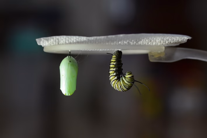 Transform Your Approach: The Impact of Our User Analytics Update