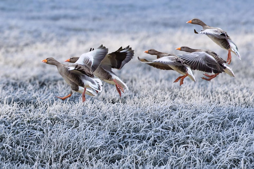 Why a Security-First Approach is Essential for Modern CRM Systems