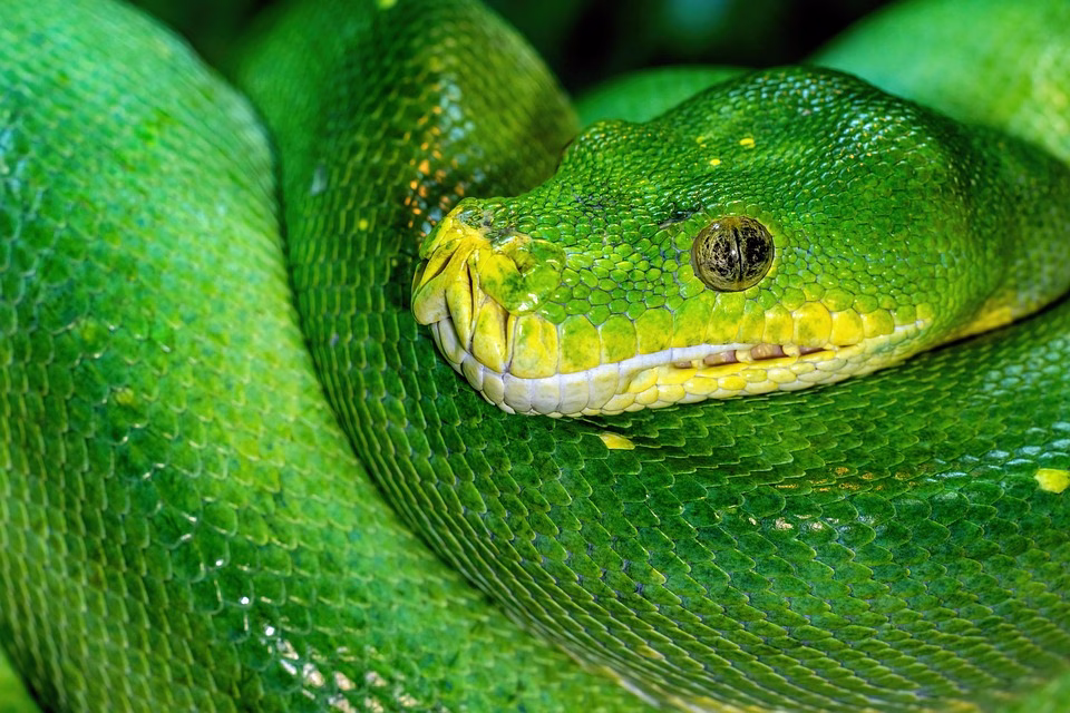 Going Green: How Paperless Invoicing Can Transform Your Business