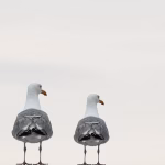 Integrating CRM Solutions: The Benefits of [CompanyName].yourdomain.com