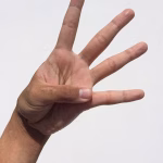 Unlocking Efficiency: The Benefits of Biometric Attendance Reports