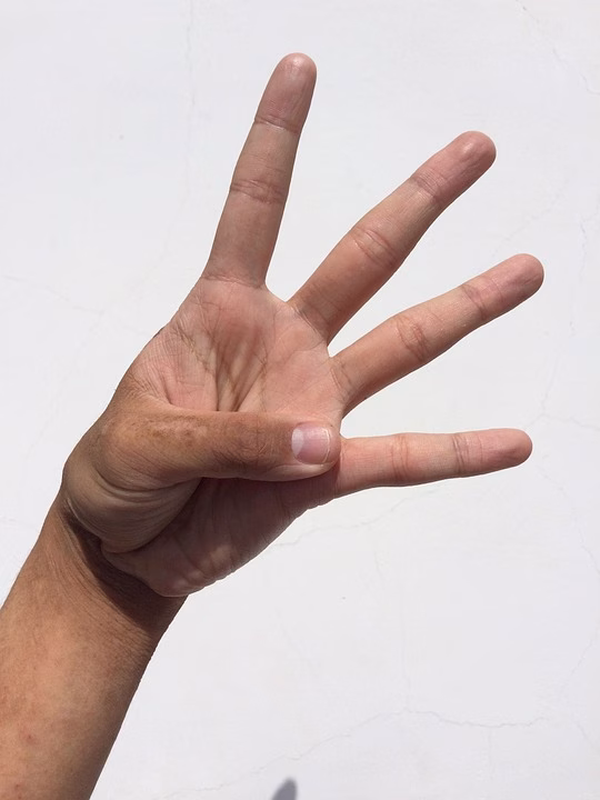 Unlocking Efficiency: The Benefits of Biometric Attendance Reports