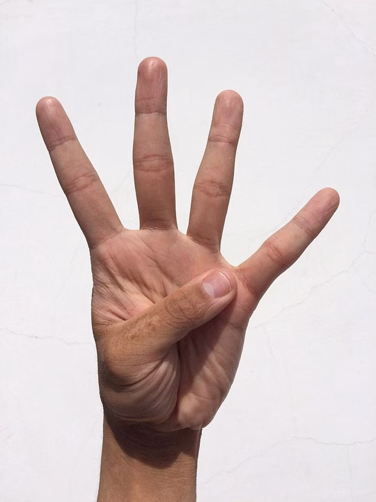 Unlocking Efficiency: Why Businesses Are Adopting Biometric Attendance Solutions