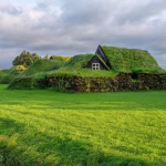 Eco-Friendly and Efficient: The Case for Digital Cards in Law Firms
