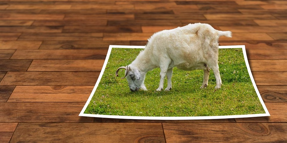 Unleashing Your vCard: Proven Instagram Growth Tips for Networking Success