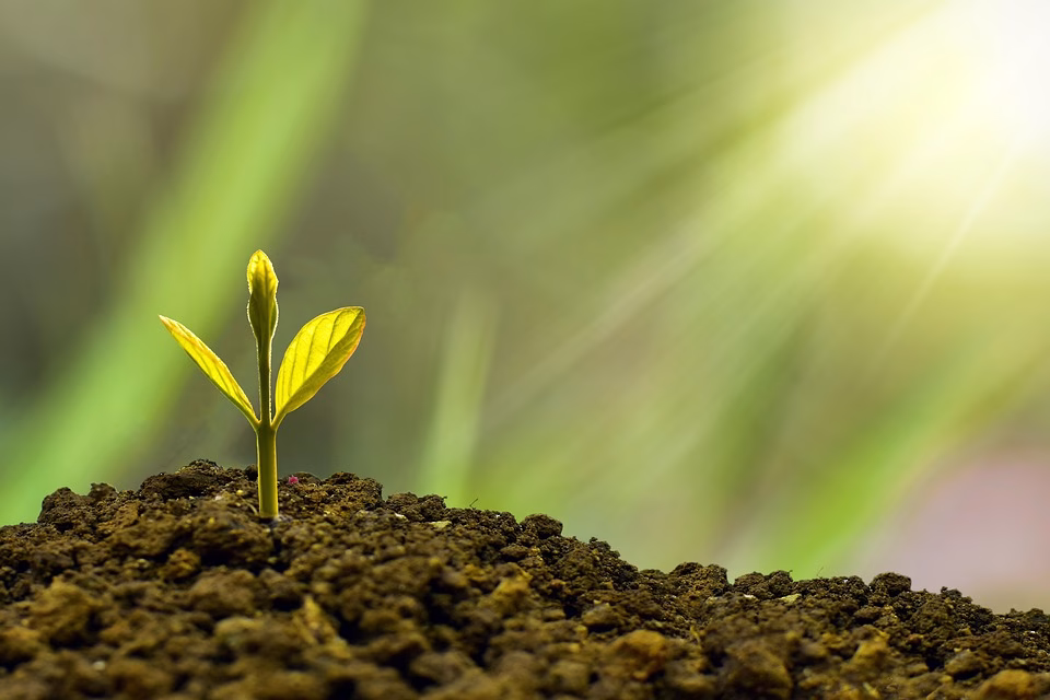 The Cash Flow Blueprint: How to Keep Your Business Afloat