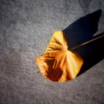 Time is Money: Maximizing Productivity in Your Workday